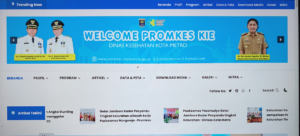 Inovasi Sistem Informasi Berbasis Website dalam Penyelenggaraan Posyandu Aktif Kota Metro.