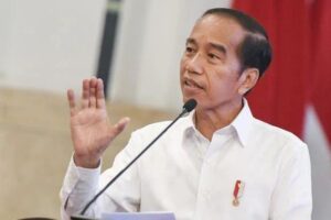 Presiden Setujui Pemekaran Wilayah Lamteng, Lamsel, dan Lampura